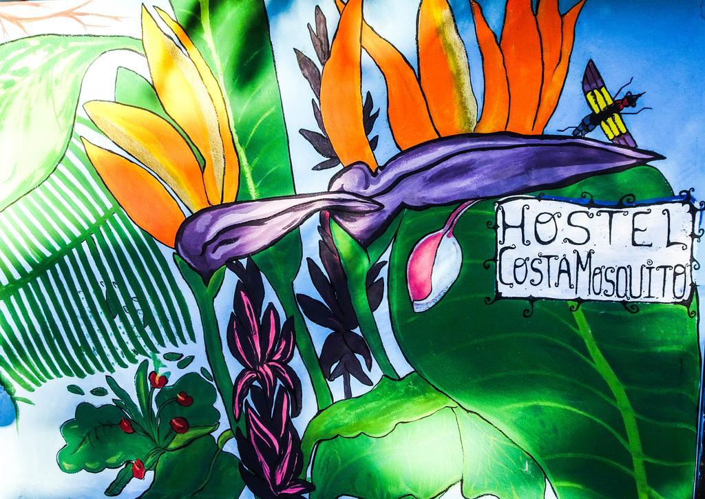 Hostel Costa Mosquito Posadas Exteriér fotografie